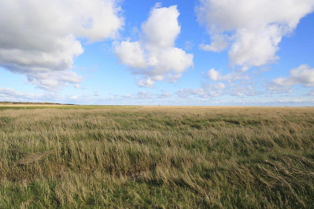 Haus-Hummergrund-Whg-01 Sankt Peter-Ording Luaran gambar